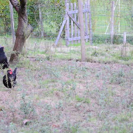Ecogite Rural La Cle Des Champs Peyrelongue-Abos Екстериор снимка