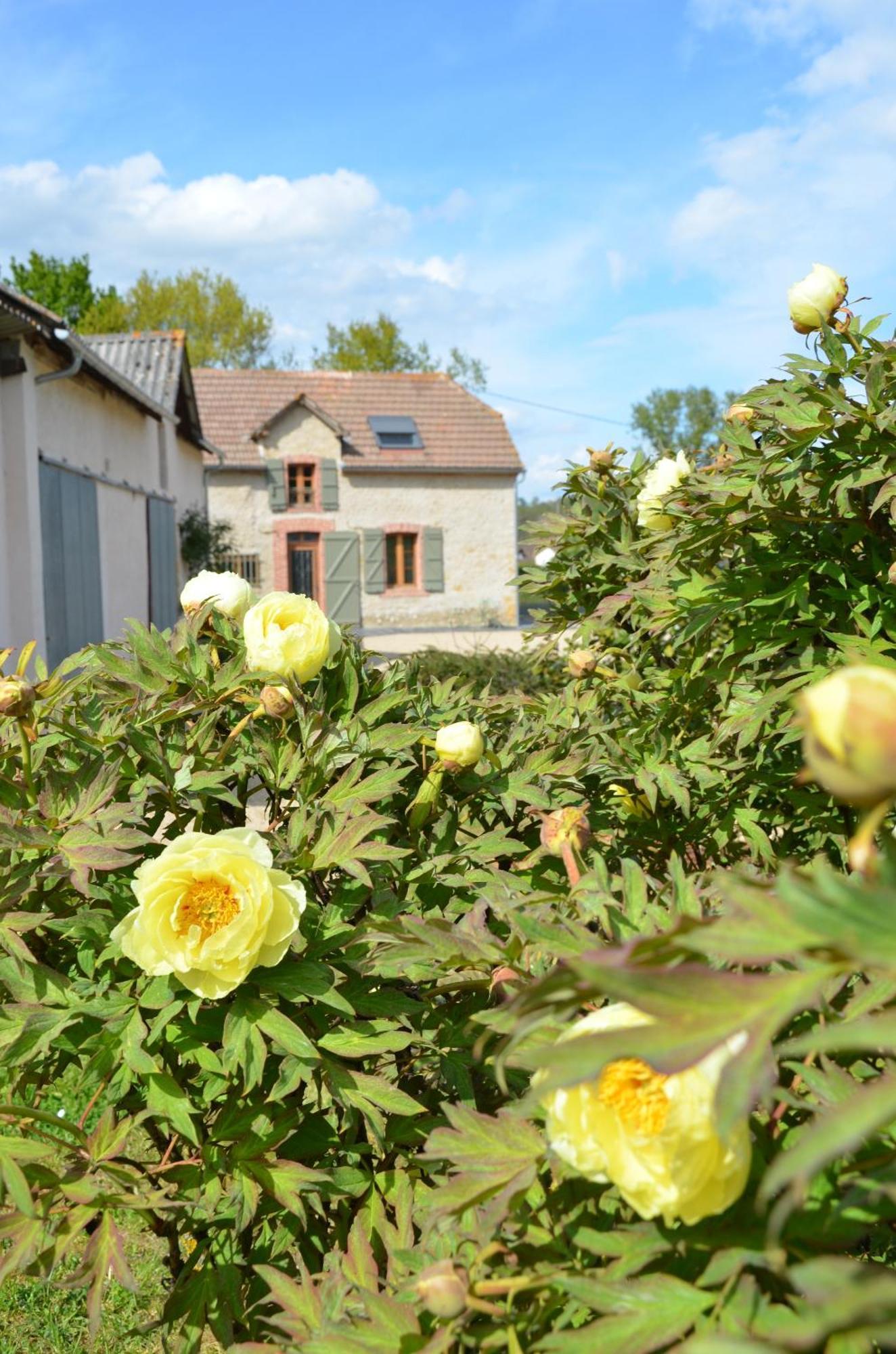 Ecogite Rural La Cle Des Champs Peyrelongue-Abos Екстериор снимка