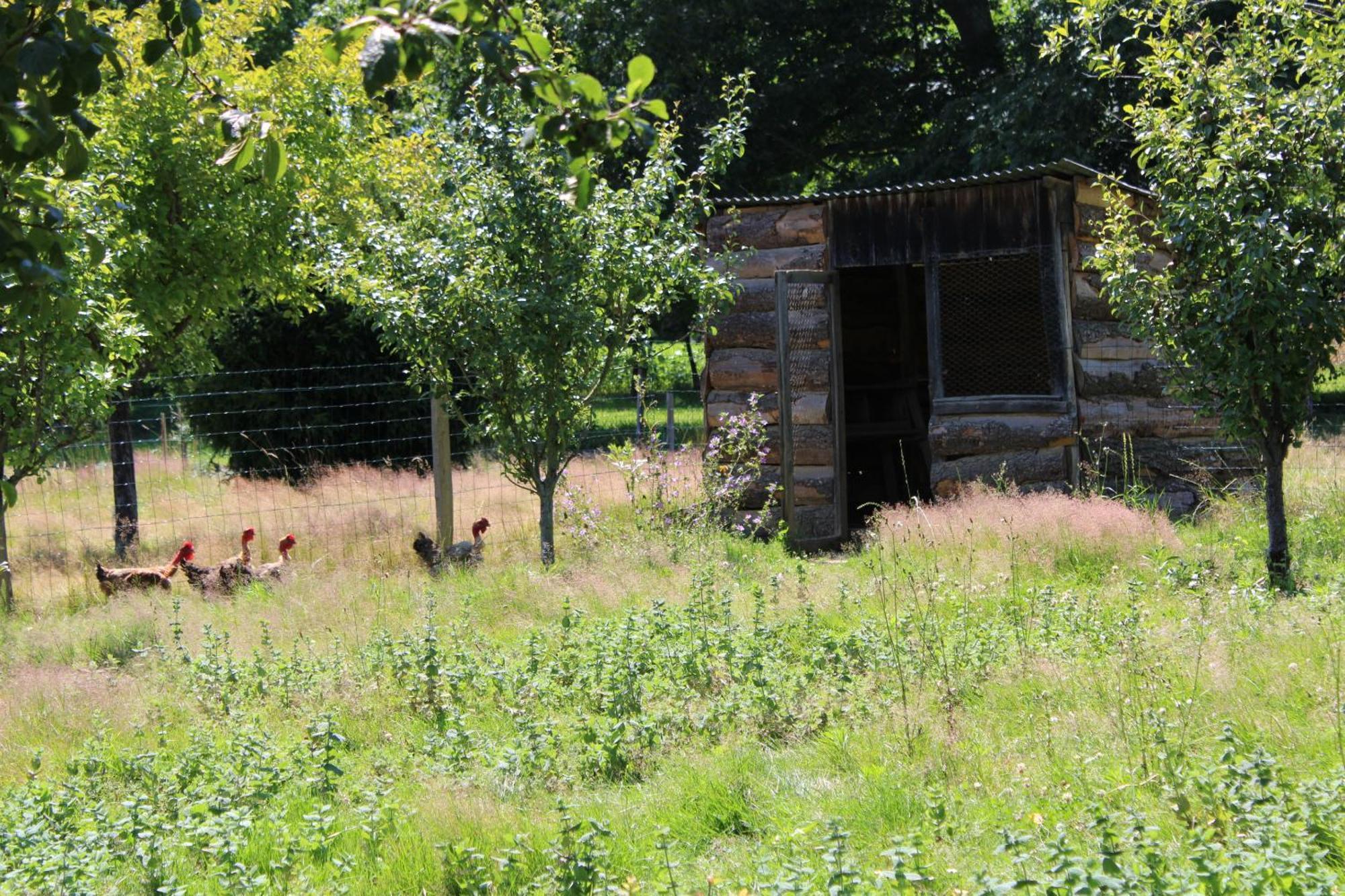 Ecogite Rural La Cle Des Champs Peyrelongue-Abos Стая снимка